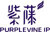 紫藤知识产权 | PurpleVine IP