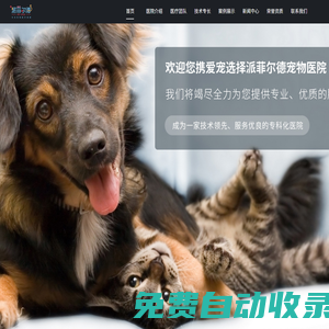 派菲尔德（上海）宠物有限公司