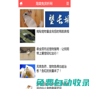 布偶猫,比利时猎犬知识网_海棠兔赏析网