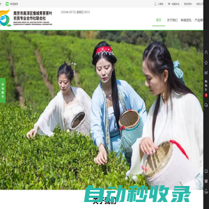 青茶空间|南京市高淳区慢城青茶茶叶农民专业合作社联合社|高淳茶叶品牌