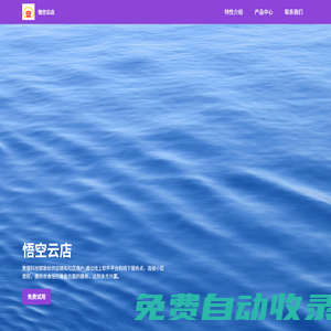 悟空云店-数字一体化门店