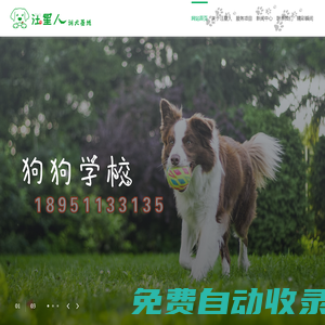 苏州汪星人训犬基地|苏州训犬|苏州寄养犬|苏州训狗|苏州寄养狗|苏州宠物寄养|苏州宠物训练||苏州宠物寄养