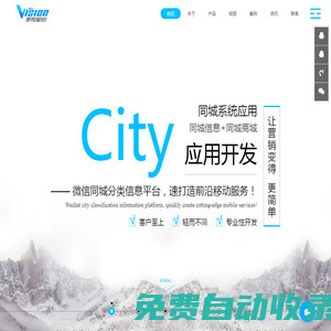 觉视网络科技|乐山网站建设|同城信息系统|微信小程序|APP开发