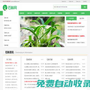 中国石斛网 - 霍山石斛_铁皮石斛_石斛的价格_石斛多少钱一斤_石斛的功效和作用