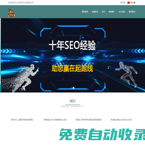 SEO_快速排名_网站优化_网络推广_seo优化 - 老羚羊软件