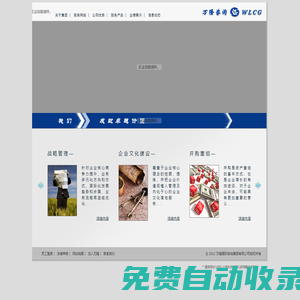 万隆国际咨询集团有限公司