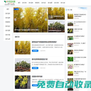 中华苗木网 - 绿化苗木|苗木价格|苗木求购|批发交易平台
