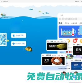 龙巅-兴趣爱好者交流交易平台