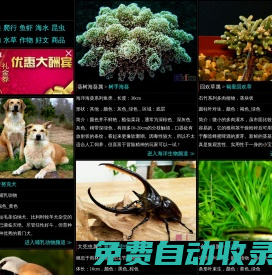 Sbike，识百客，动植物百科网，国内最专业的动物、宠物、植物、花卉科普信息分类、资料速查网站，足不出户的动植物乐园！