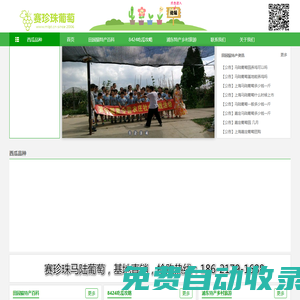 南汇8424西瓜网-南汇8424西瓜网丨南汇8424西瓜采摘价格多少钱一斤丨南汇8424西瓜礼盒