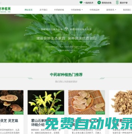 中药材种植技术_中药材价格_中药材品种-中药材种植网