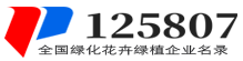 【125807】绿化-花卉-绿植企业名录,养花知识技巧,国内新闻,情感文学