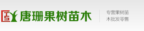 果树苗多个品种_桃树苗_梨树苗_杏树苗等_唐姗果树种植专业合作社