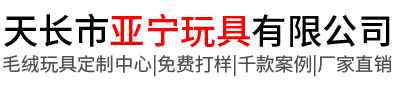 天长市亚宁玩具有限公司