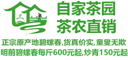 苏州碧螺春_洞庭碧螺春_碧螺春价格_西山碧螺春_正宗碧螺春茶叶